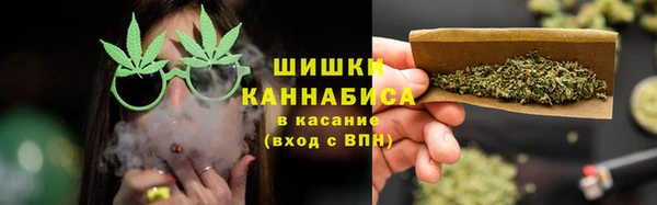 дурь Бронницы