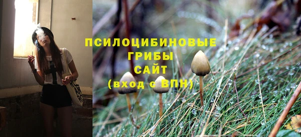 мескалин Бородино